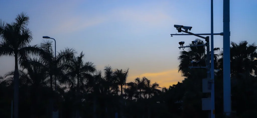 摄影作品 04：棕榈与暮色